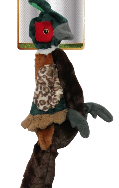 Peluche pour chien faisan S sans rembourrage avec couineur, 37 cm – Pawise Stuffless Feather Pals