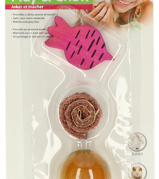 Blocs à ronger en bois et en luffa pour lapins et rongeurs – Pawise Wooden Loofah Pretty Toys No2