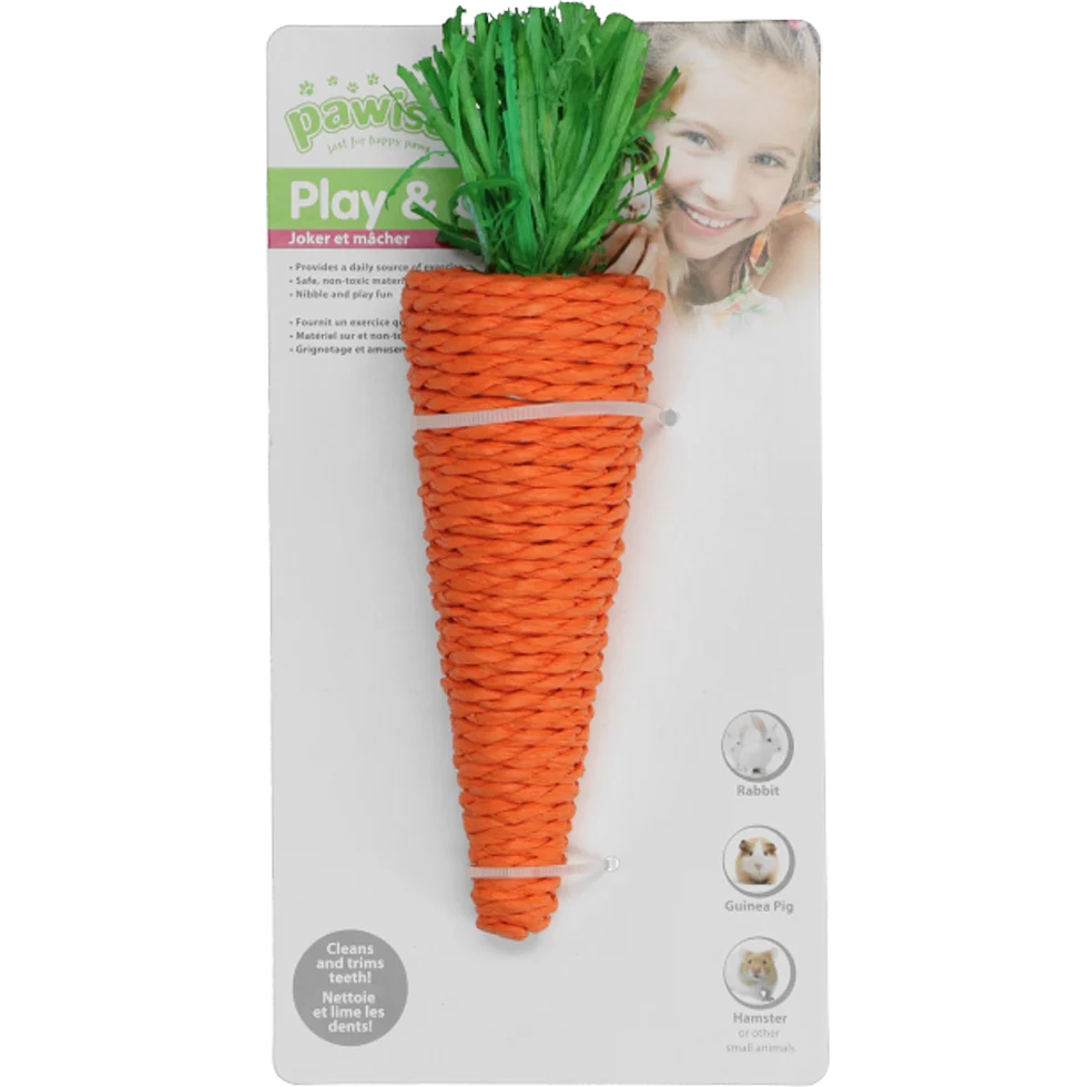 Jouet à ronger pour lapins et rongeurs, coloré, Pawise Play & Chew Carrot – Image 2