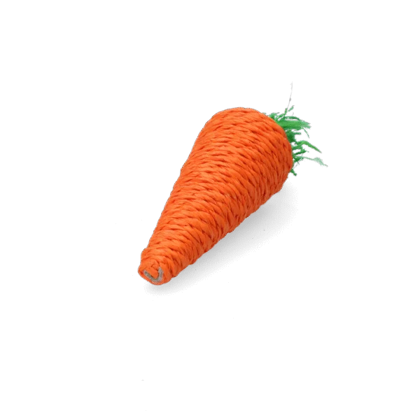 Jouet à ronger pour lapins et rongeurs, coloré, Pawise Play & Chew Carrot