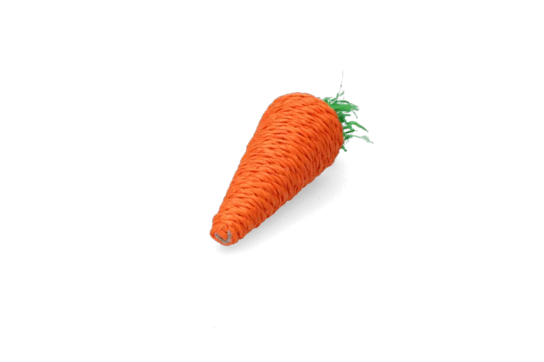 Jouet à ronger pour lapins et rongeurs, coloré, Pawise Play & Chew Carrot