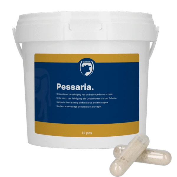 Capsules pessaires aux plantes, 12 pièces – Excellent Pessaria Capsule