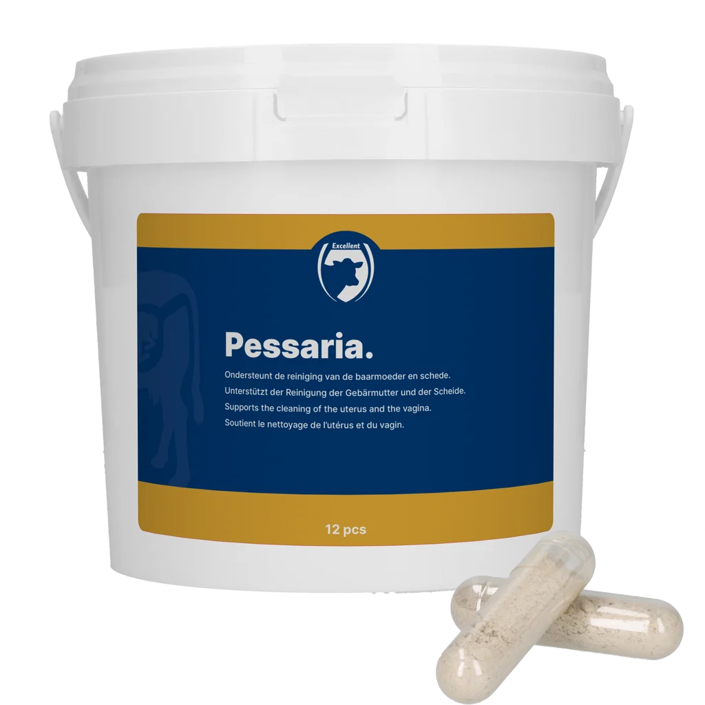 Capsules pessaires aux plantes, 12 pièces – Excellent Pessaria Capsule – Image 1