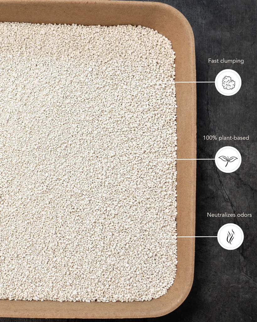 Litière agglomérante au tofu pour bacs à litière automatiques, 3,5 kg – Petlux Cassava Tofu – Image 4