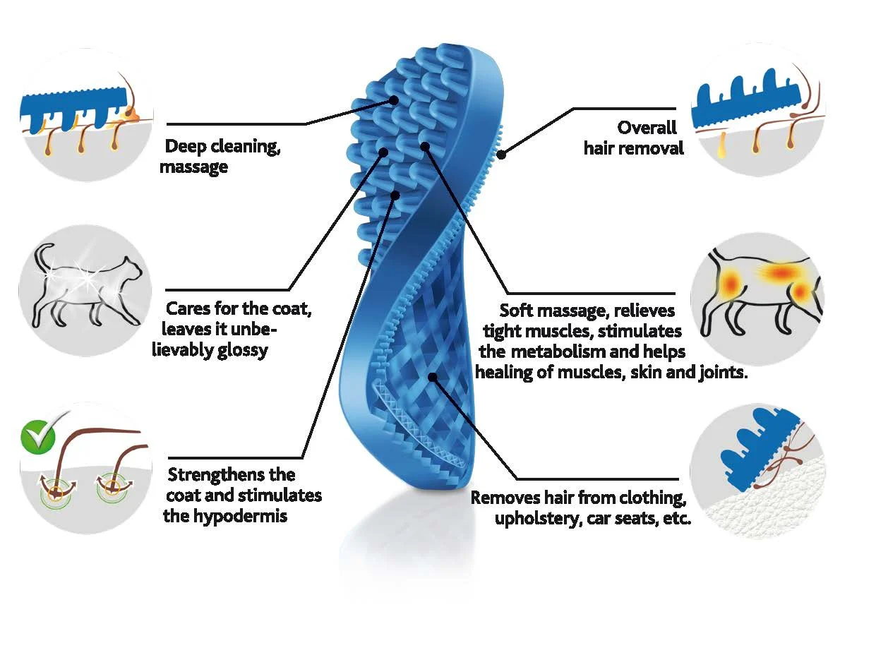 Brosse en silicone pour chats à poils courts, bleue – Pet + Me Cat Hair Brush – Image 3