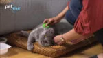 Brosse en silicone pour chats à poils longs, verte – Pet + Me Cat Hair Brush – Image 5