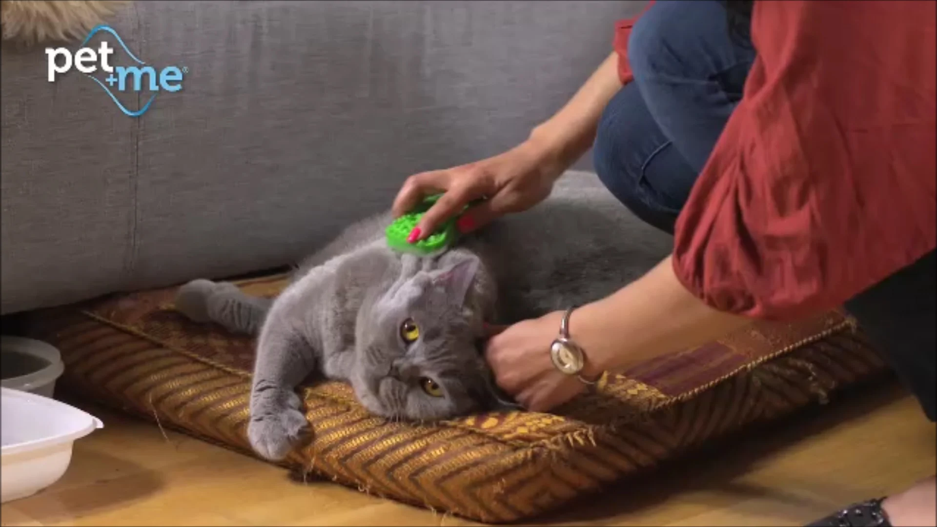 Brosse en silicone pour chats à poils longs, verte – Pet + Me Cat Hair Brush – Image 5