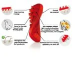 Brosse pour chien à poil long en silicone, rouge – Pet + Me – Image 3