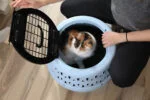Caisse de transport ronde pour chats avec ouverture sur le dessus, bleue – Petmate Get-A-Round Kennel – Image 6