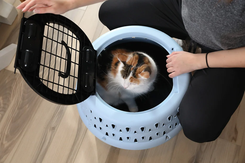 Caisse de transport ronde pour chats avec ouverture sur le dessus, bleue – Petmate Get-A-Round Kennel – Image 6