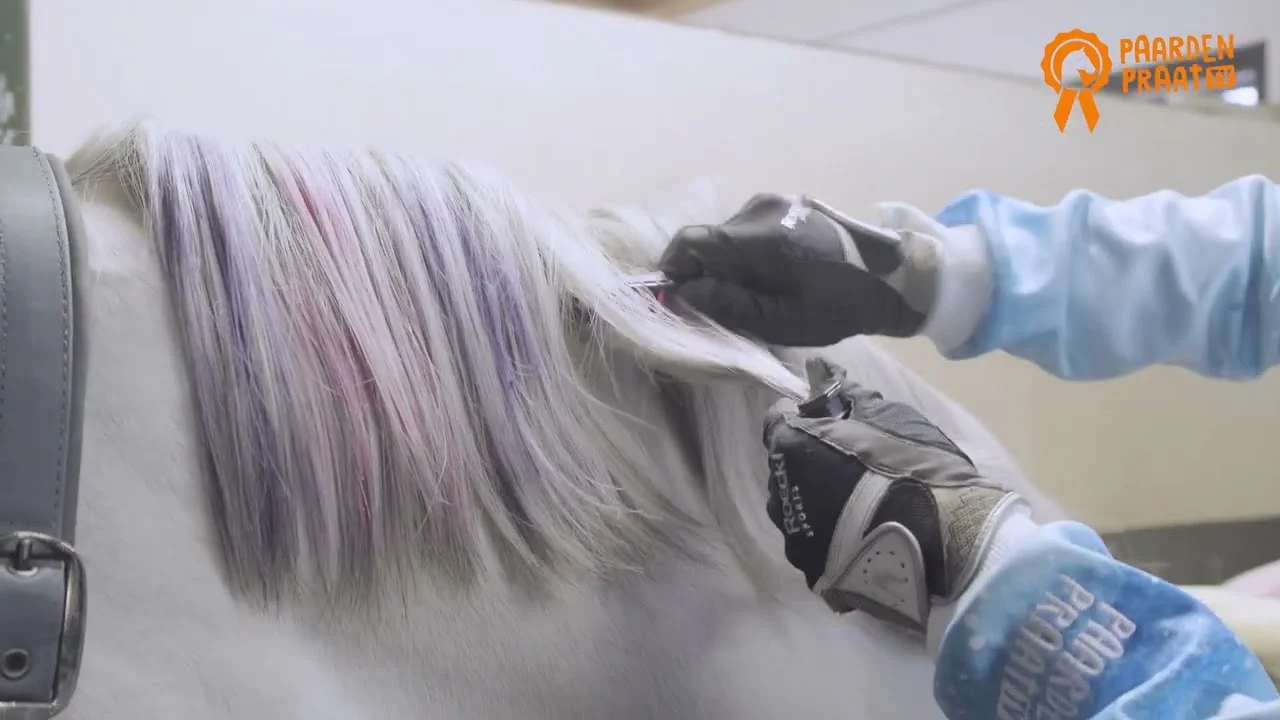 Craies pour crinière de cheval, couleurs arc-en-ciel, 6 pièces – Paardenpraat TV Regenboog Kleurkrijt – Image 2