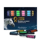 Craies pour crinière de cheval, couleurs arc-en-ciel, 6 pièces – Paardenpraat TV Regenboog Kleurkrijt