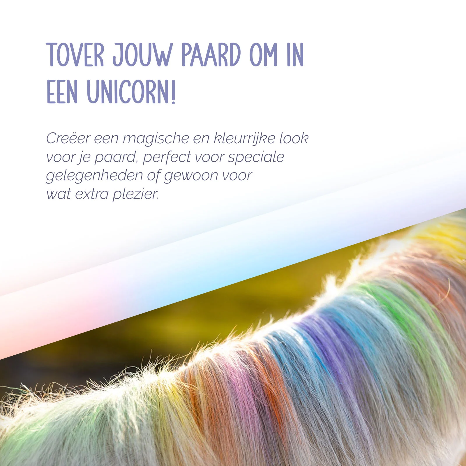 Craies pour crinière de cheval, couleurs arc-en-ciel, 6 pièces – Paardenpraat TV Regenboog Kleurkrijt – Image 6