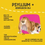 Fibres de psyllium en poudre pour chiens, 100 g – Excellent Pets Dog Psyllium+ – Image 6
