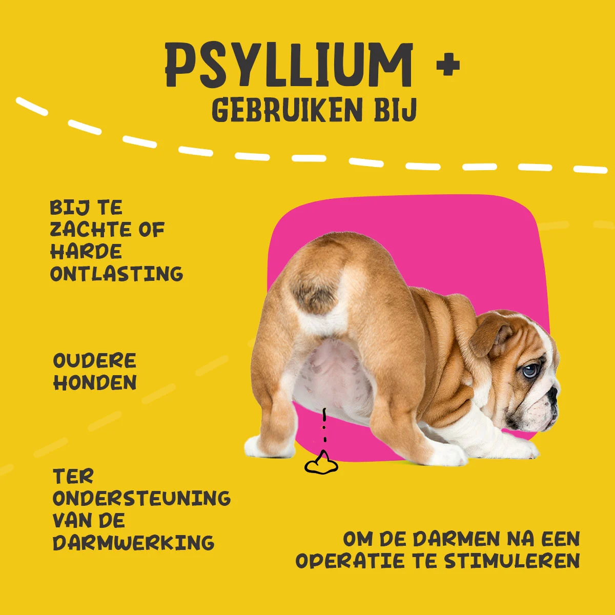 Fibres de psyllium en poudre pour chiens, 100 g – Excellent Pets Dog Psyllium+ – Image 6