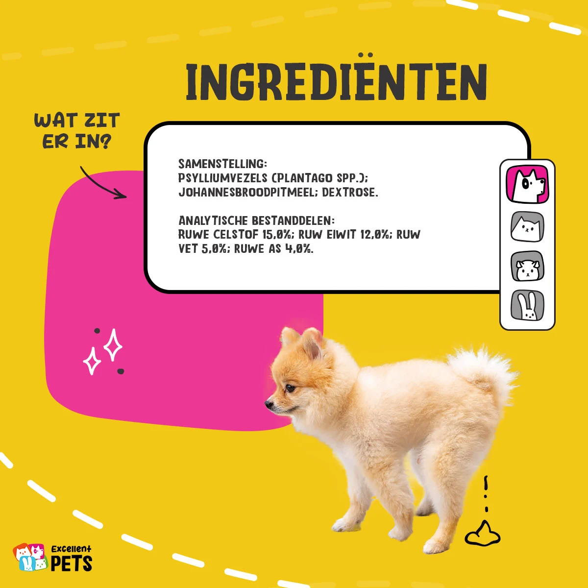 Fibres de psyllium en poudre pour chiens, 100 g – Excellent Pets Dog Psyllium+ – Image 4