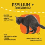 Poudre de psyllium pour chats avec farine de graines de caroube, 100 g – Excellent Pets Cat Psyllium+ – Image 6