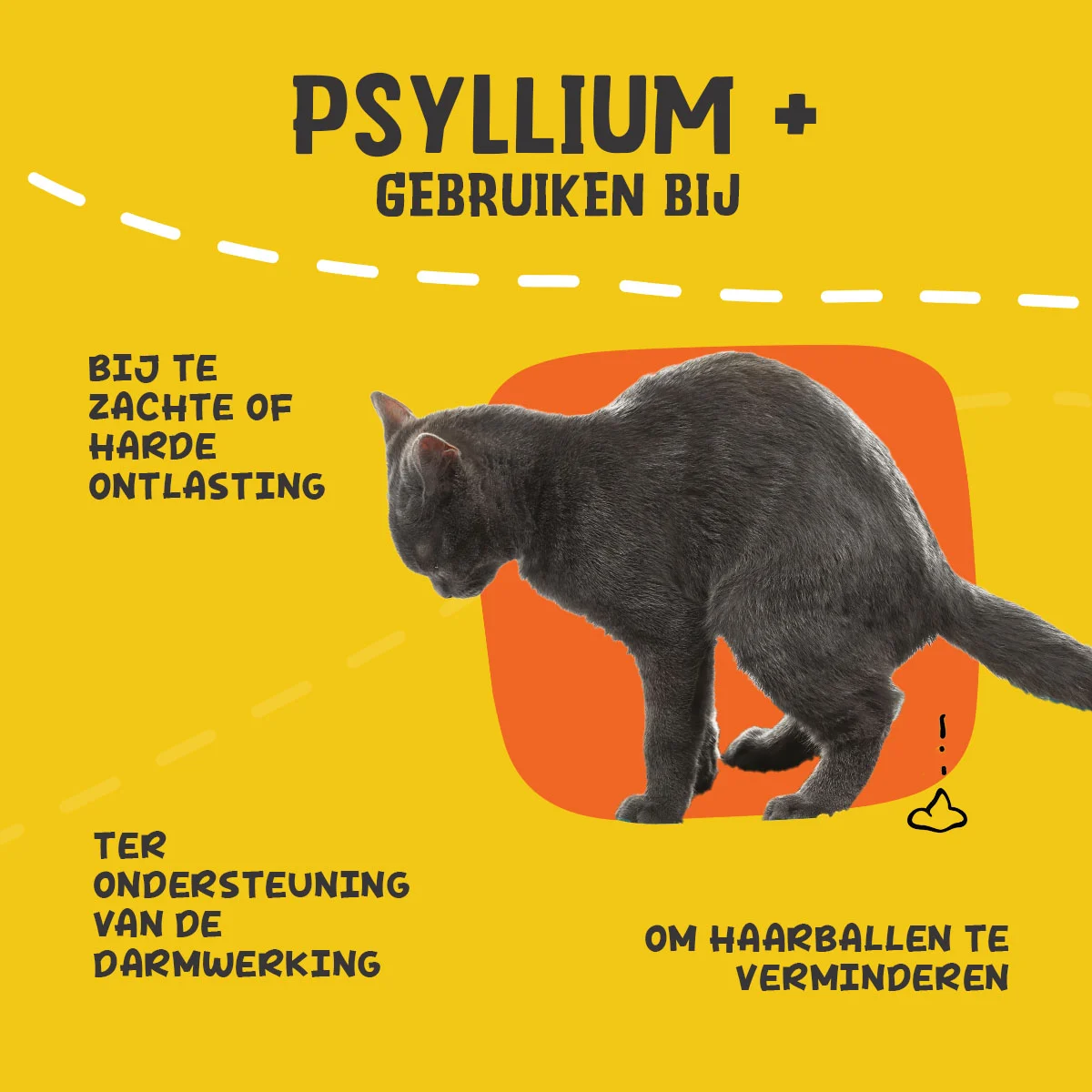 Poudre de psyllium pour chats avec farine de graines de caroube, 100 g – Excellent Pets Cat Psyllium+ – Image 6