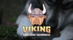 Corne à mâcher de bœuf pour chiens de 1 à 4 kg – Viking Horn Twist S – Image 2