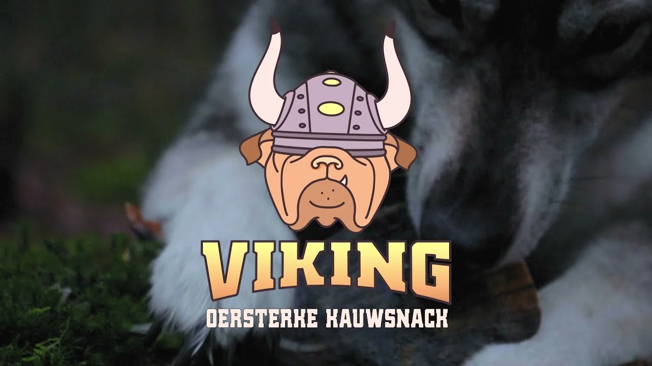 Corne à mâcher de bœuf pour chiens de 1 à 4 kg – Viking Horn Twist S – Image 2