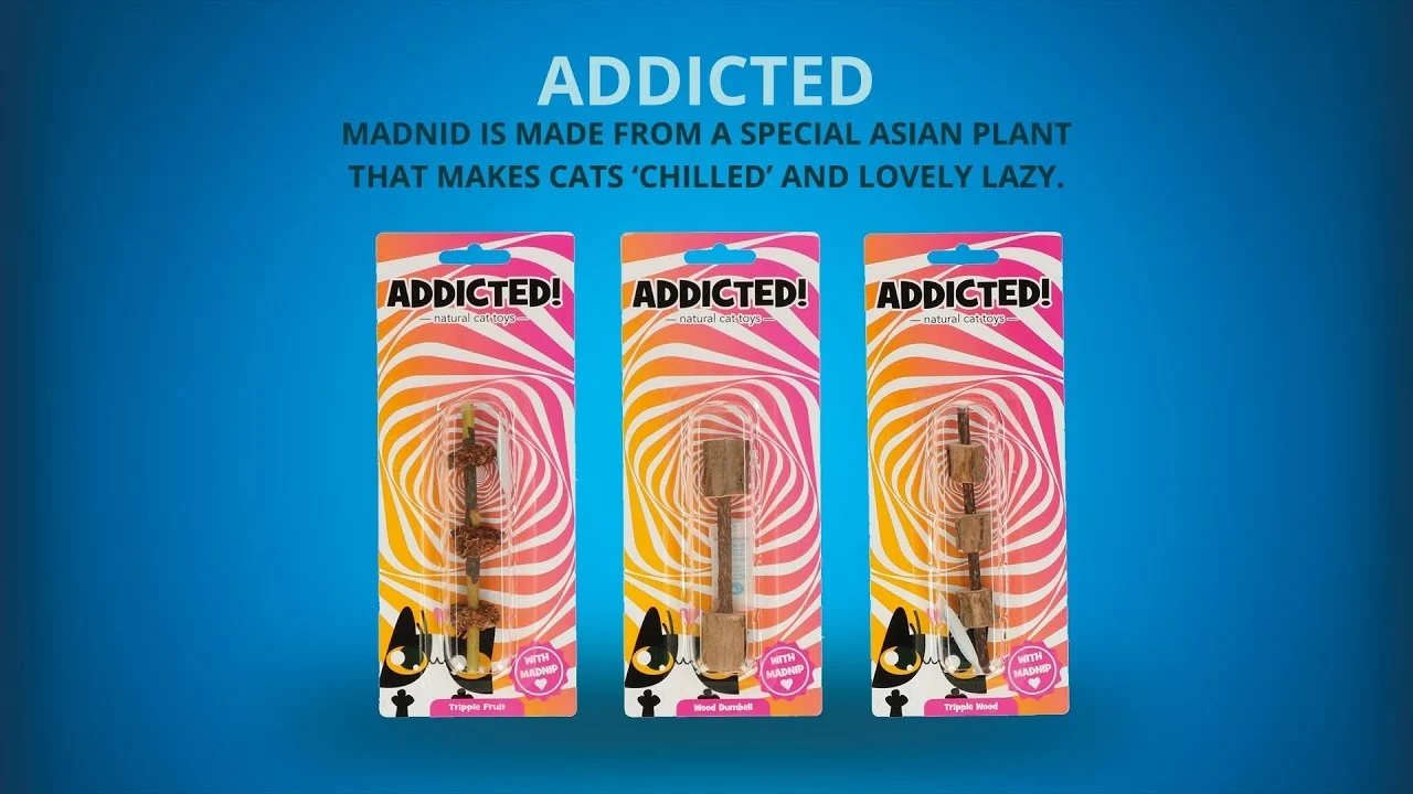 Haltère en bois pour chat avec MADNIP – Addicted! Wood Dumbell – Image 6