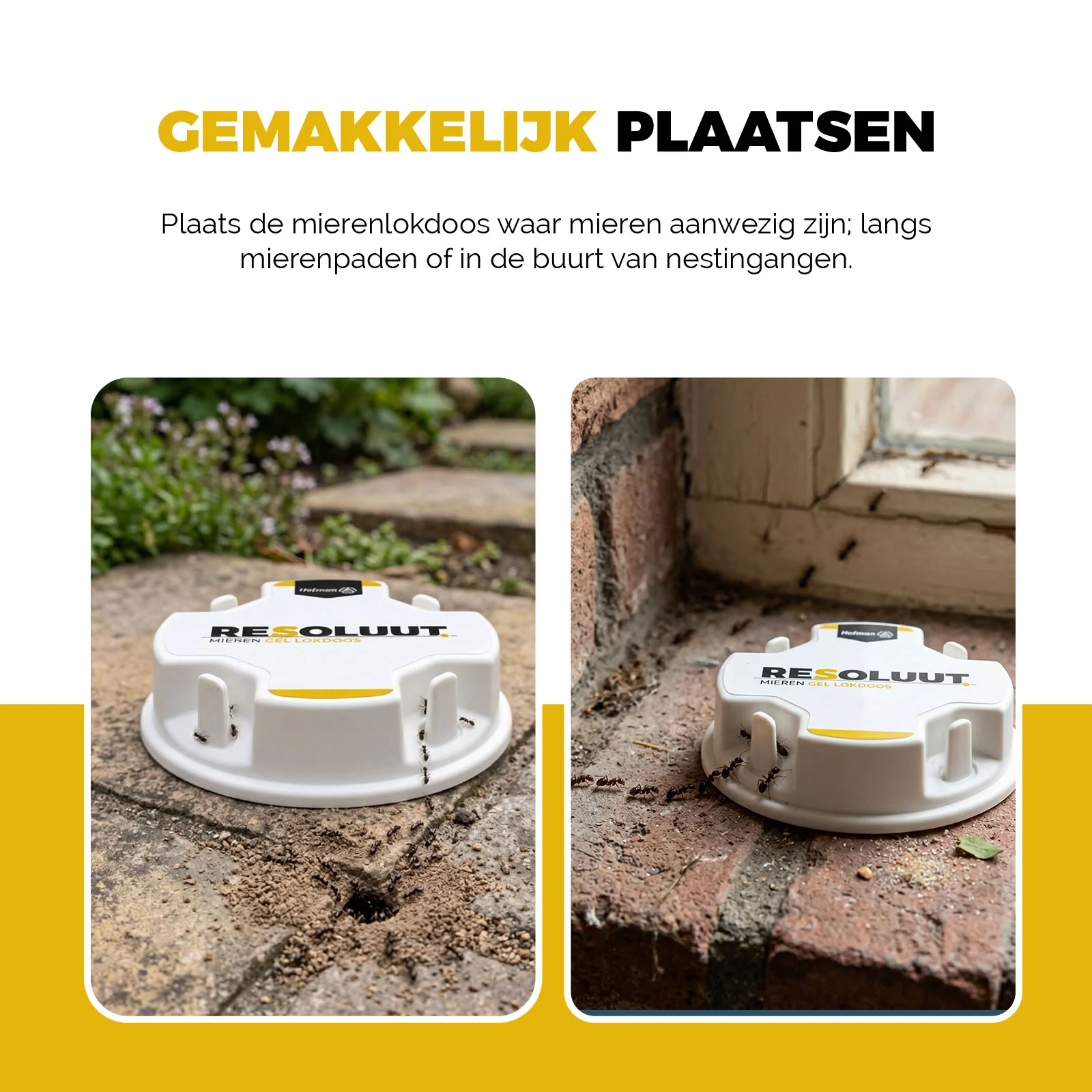Boîtes appâts avec gel contre les fourmis noires des jardins, 20 unités – Boîtes appâts Resoluut Mieren Gel – Image 6