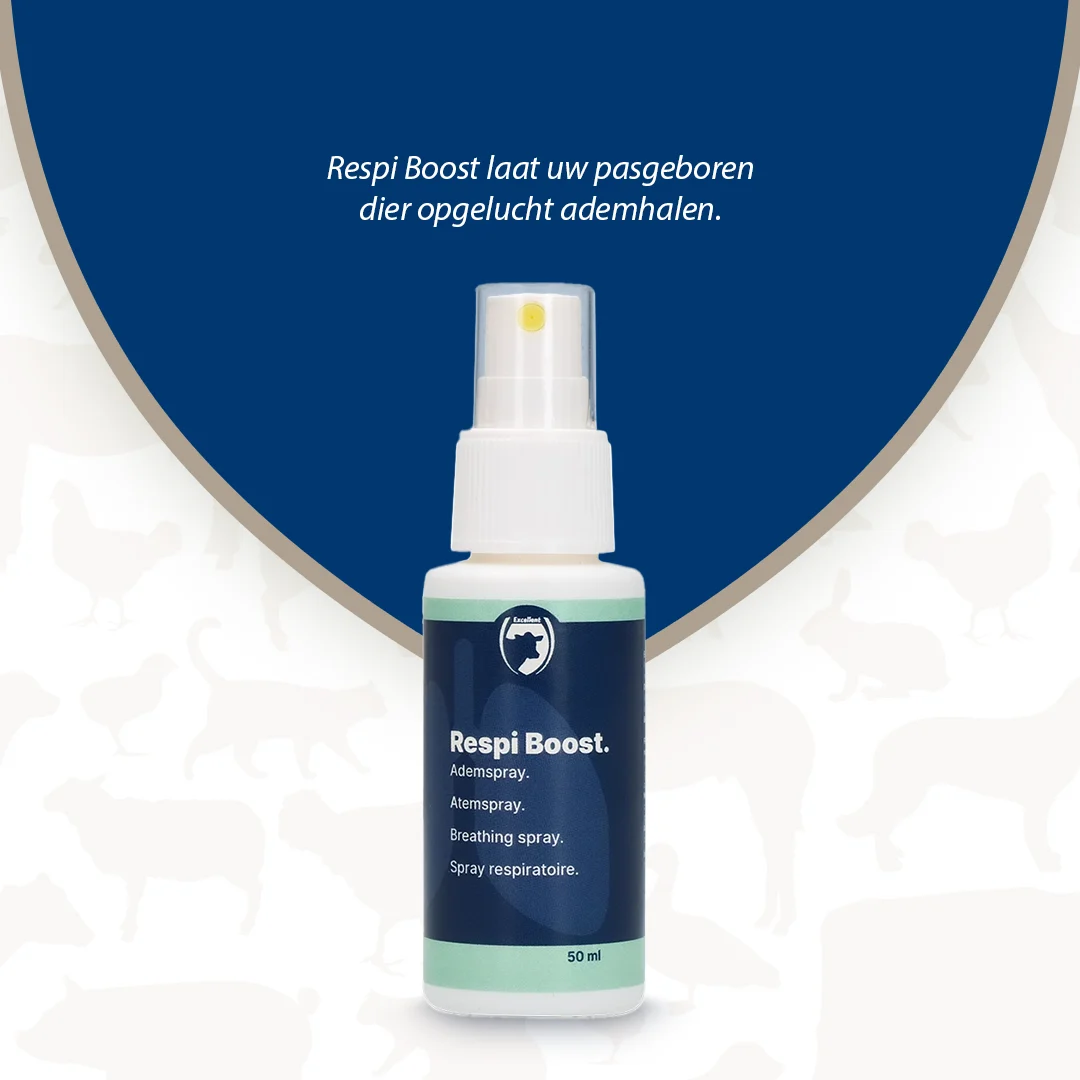Spray respiratoire pour nouveau-nés, 50 ml – Excellent Respi Boost – Image 2