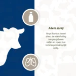 Spray respiratoire pour nouveau-nés, 50 ml – Excellent Respi Boost – Image 4