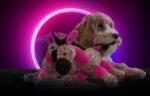 Jouet pour chien âne avec couineur, rose S, 20 x 25 cm – Retro Dog Donkey – Image 4