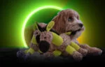 Peluche pour chien Âne avec couineur, jaune S – Retro Dog Donkey – Image 4