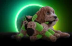 Peluche pour chien Âne avec couineur, Vert S – Retro Dog Donkey – Image 4