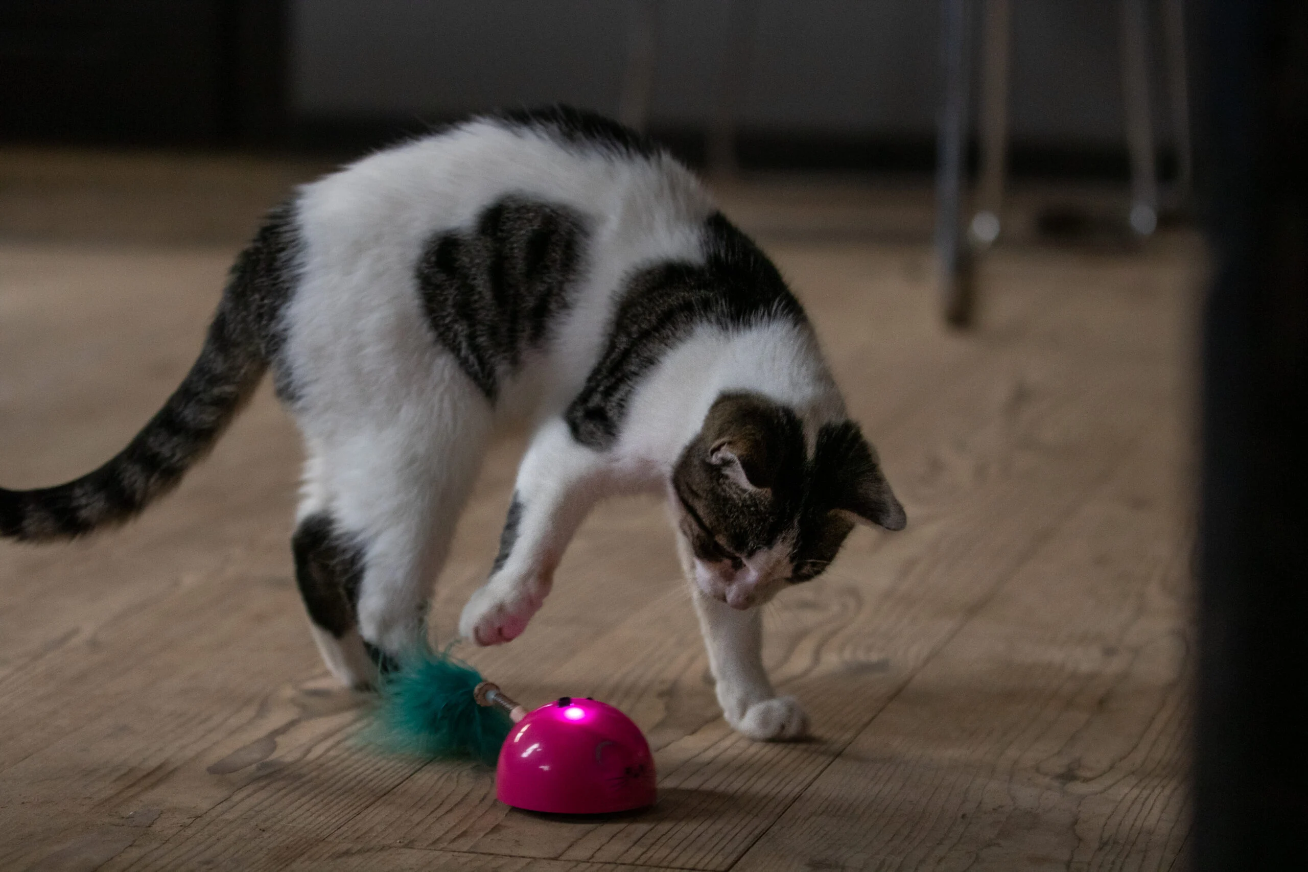 Souris de jeu avec capteur de mouvement et Madnip, rose – Robocat Mouse – Image 5