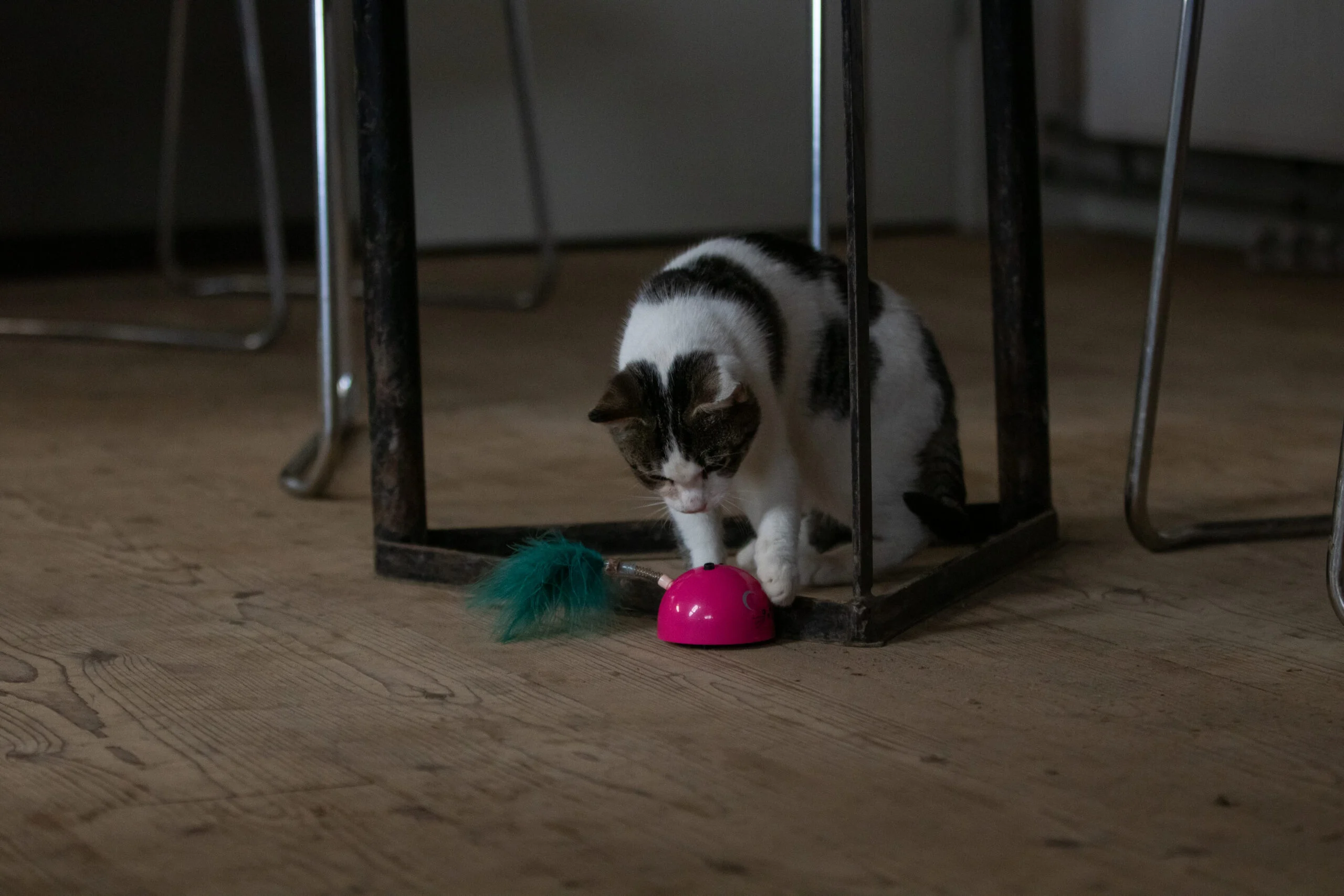 Souris de jeu avec capteur de mouvement et Madnip, rose – Robocat Mouse – Image 6