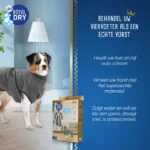 Robe de bain pour chien en microfibre XL, longueur de dos de 70 à 80 cm – Royal Dry – Image 4
