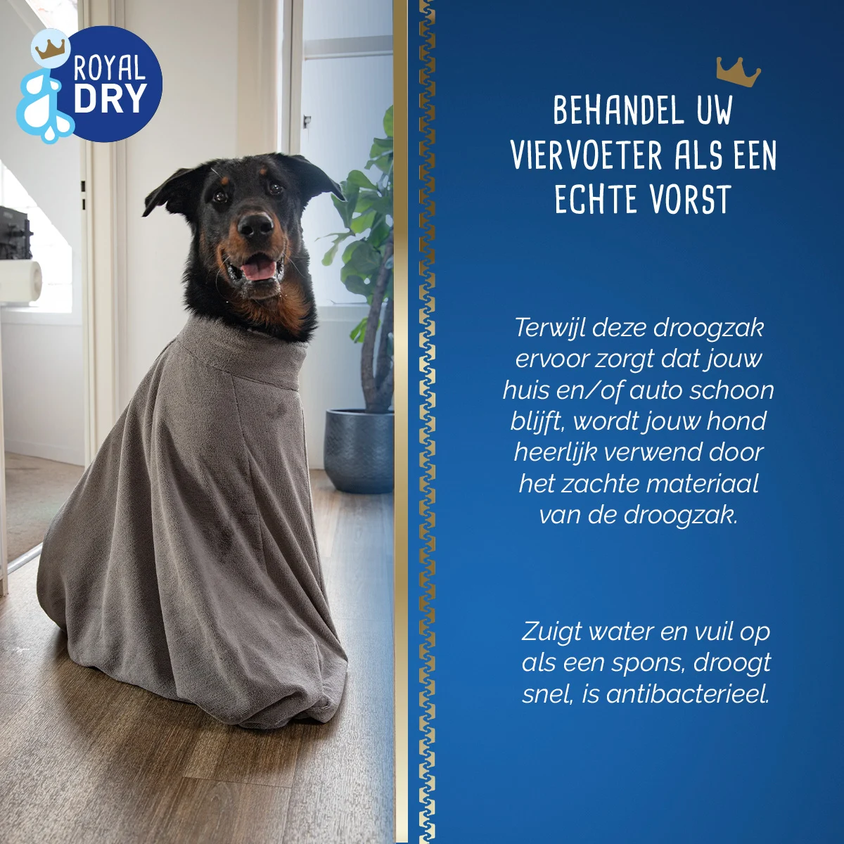 Sac séchant pour chien en microfibre L, longueur de dos 75 cm – Royal Dry Doggy Bag – Image 6