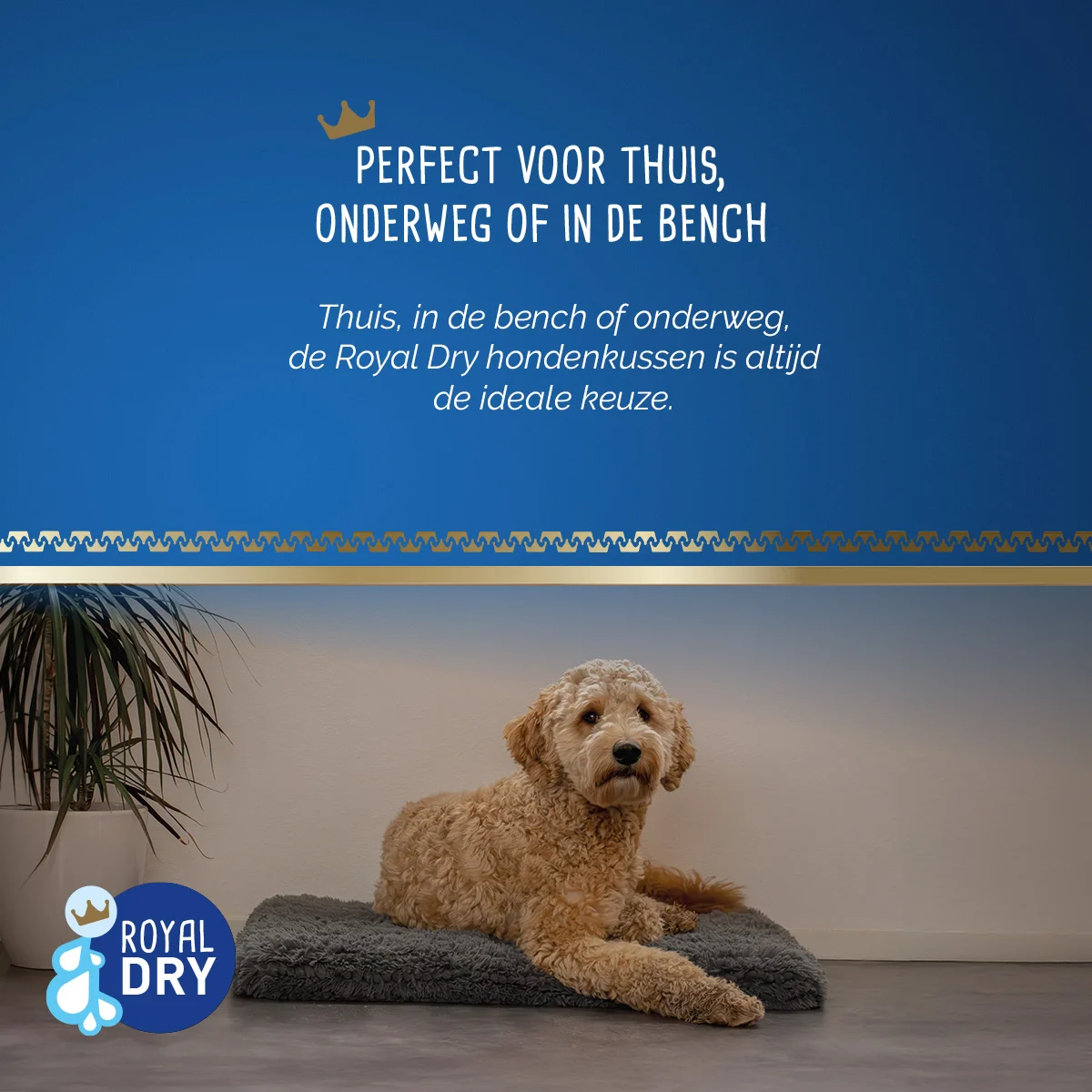 Coussin pour chien en microfibre absorbante, 58 x 91 cm – Royal Dry Pillow – Image 6