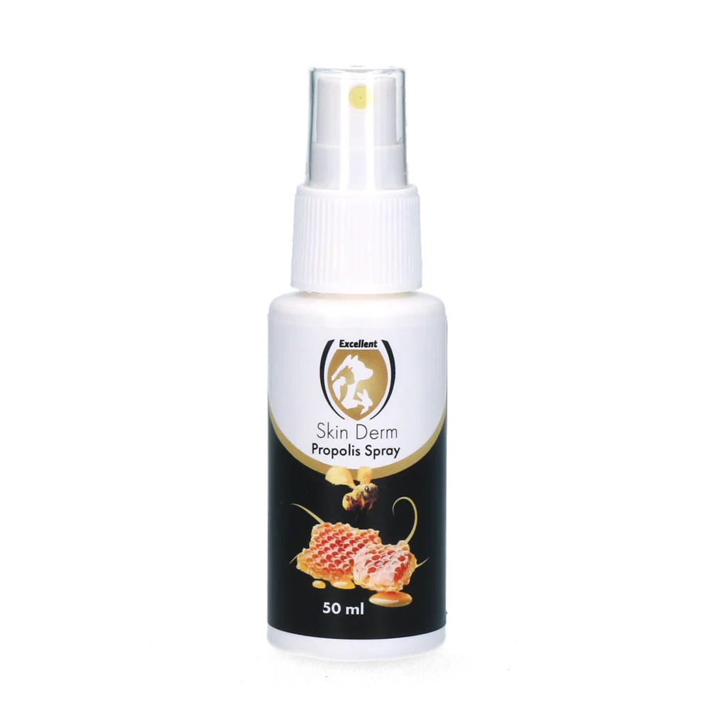 Spray pour la peau à la propolis, 50 ml – Excellent Skin Derm Propolis Spray – Image 1