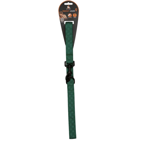 Laisse pour chien avec anneau en D, 120 cm, verte – Spotted! Pro Perfect Leash