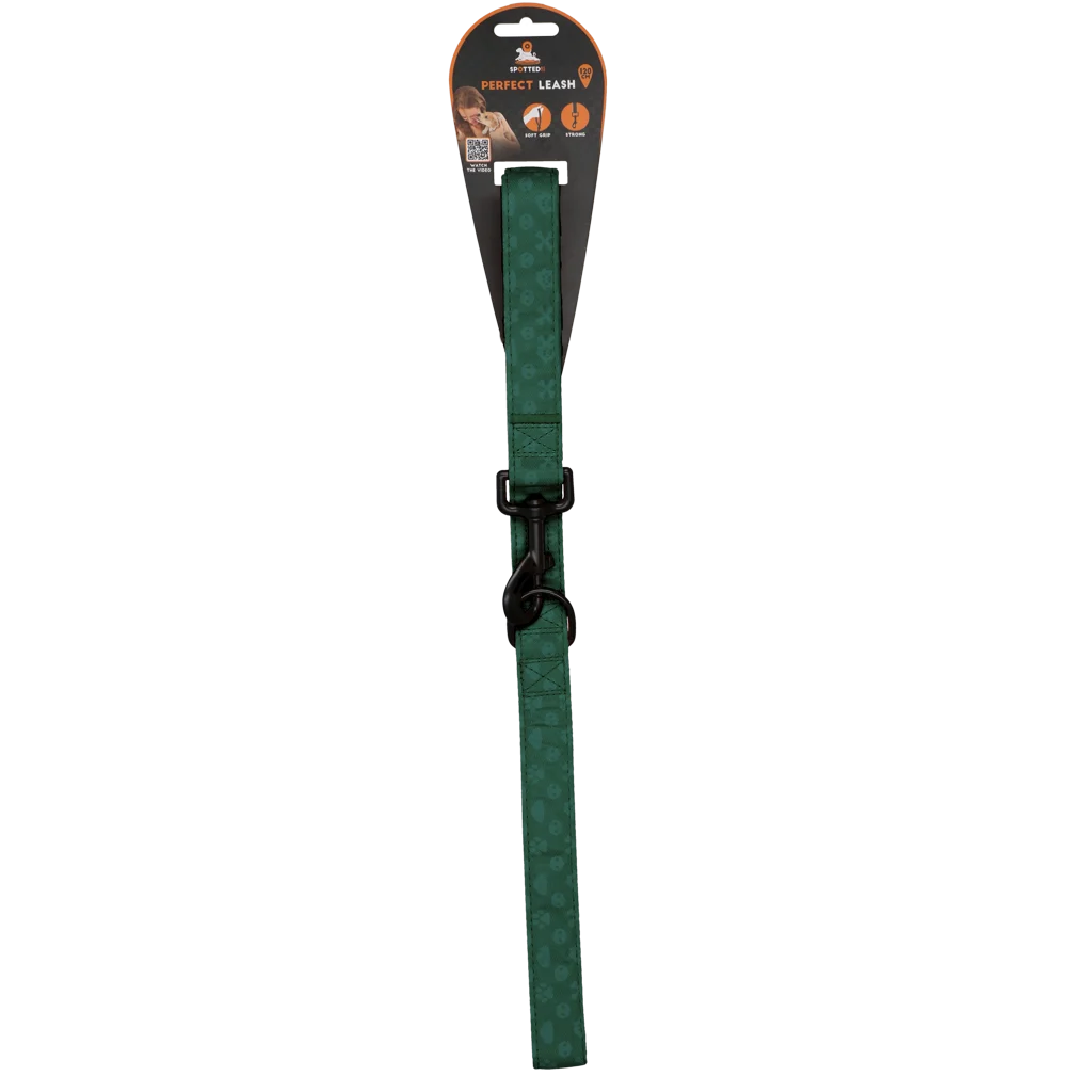 SPOT0014B.png Laisse pour chien avec anneau en D, 120 cm, verte – Spotted! Pro Perfect Leash – Image 1