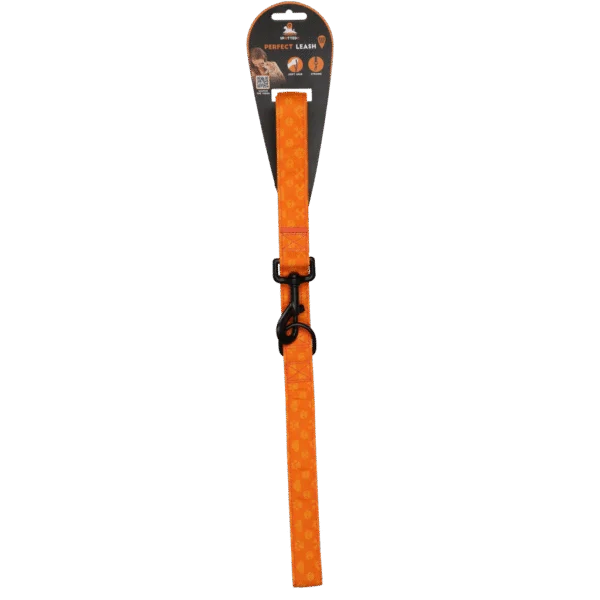Laisse pour chien avec anneau en D, 120 cm, orange – Spotted! Pro Perfect Leash