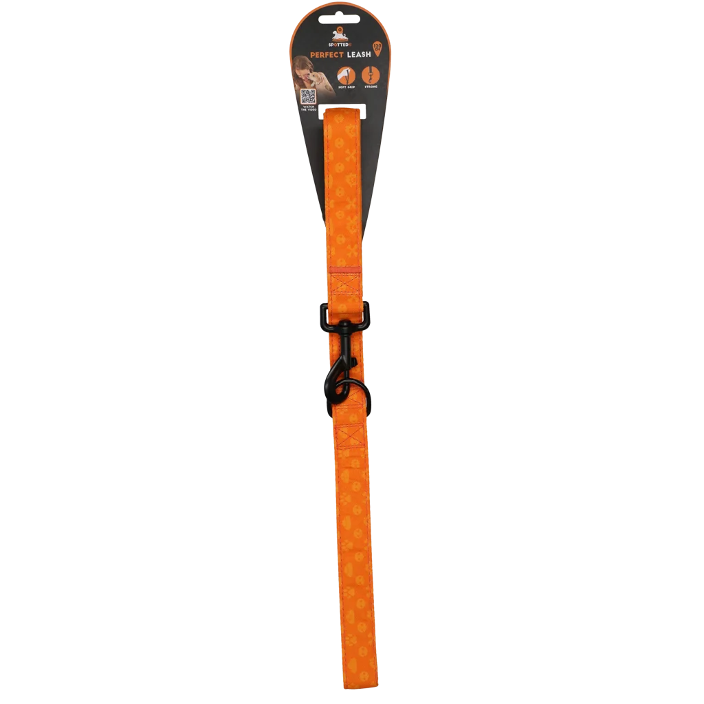 SPOT0014C.png Laisse pour chien avec anneau en D, 120 cm, orange – Spotted! Pro Perfect Leash – Image 1