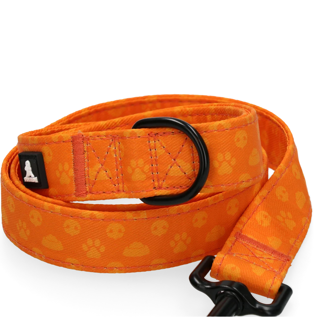 Laisse pour chien avec anneau en D, 120 cm, orange – Spotted! Pro Perfect Leash – Image 3