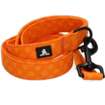 Laisse pour chien avec anneau en D, 120 cm, orange – Spotted! Pro Perfect Leash – Image 4