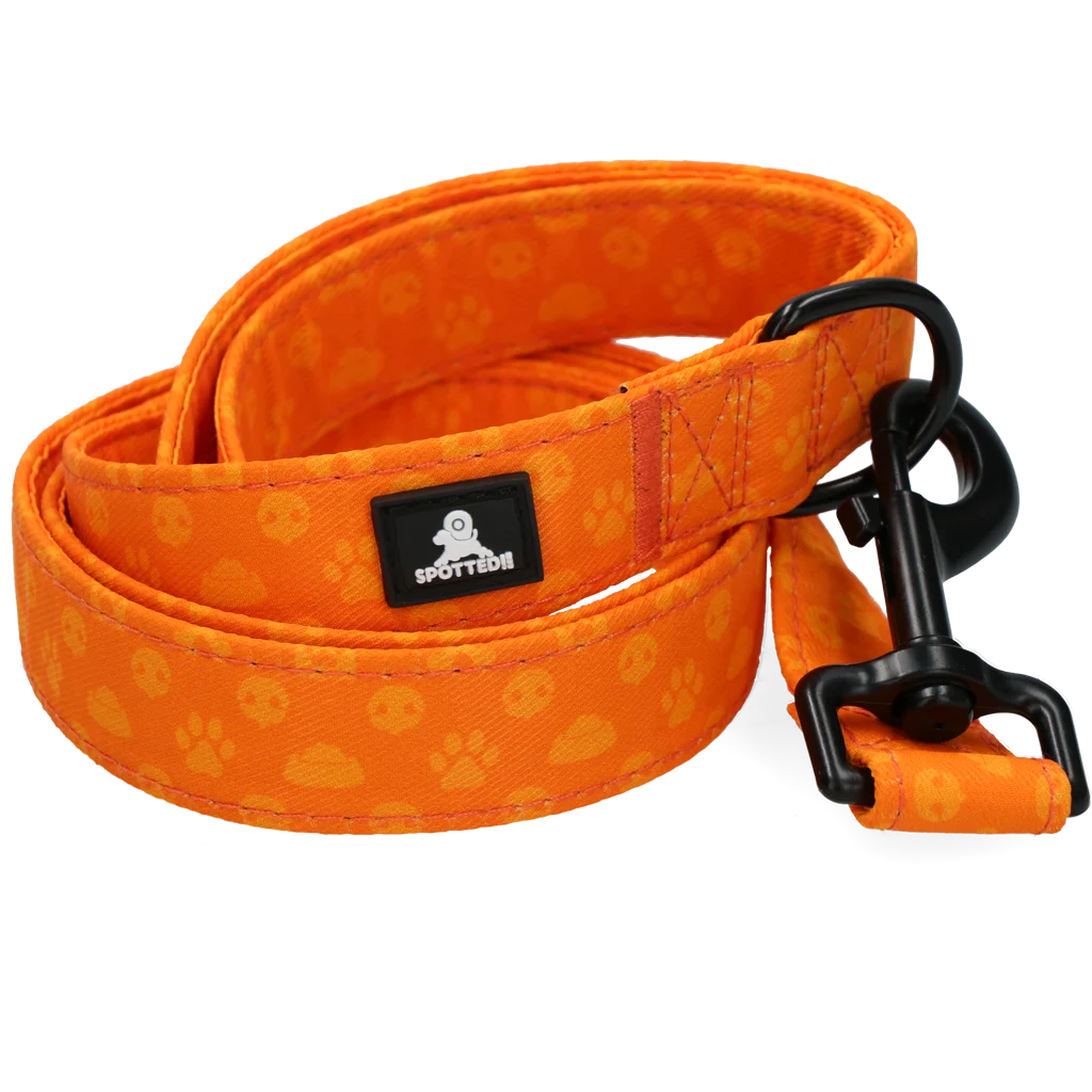 Laisse pour chien avec anneau en D, 120 cm, orange – Spotted! Pro Perfect Leash – Image 4