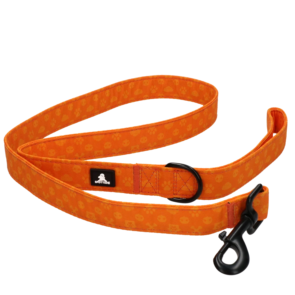 Laisse pour chien avec anneau en D, 120 cm, orange – Spotted! Pro Perfect Leash – Image 5