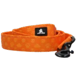 Laisse pour chien avec anneau en D, 120 cm, orange – Spotted! Pro Perfect Leash – Image 2