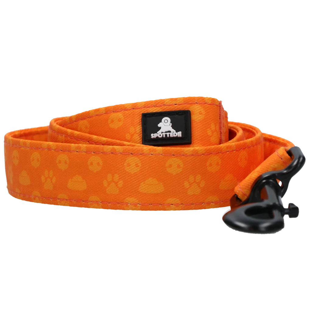 Laisse pour chien avec anneau en D, 120 cm, orange – Spotted! Pro Perfect Leash – Image 2