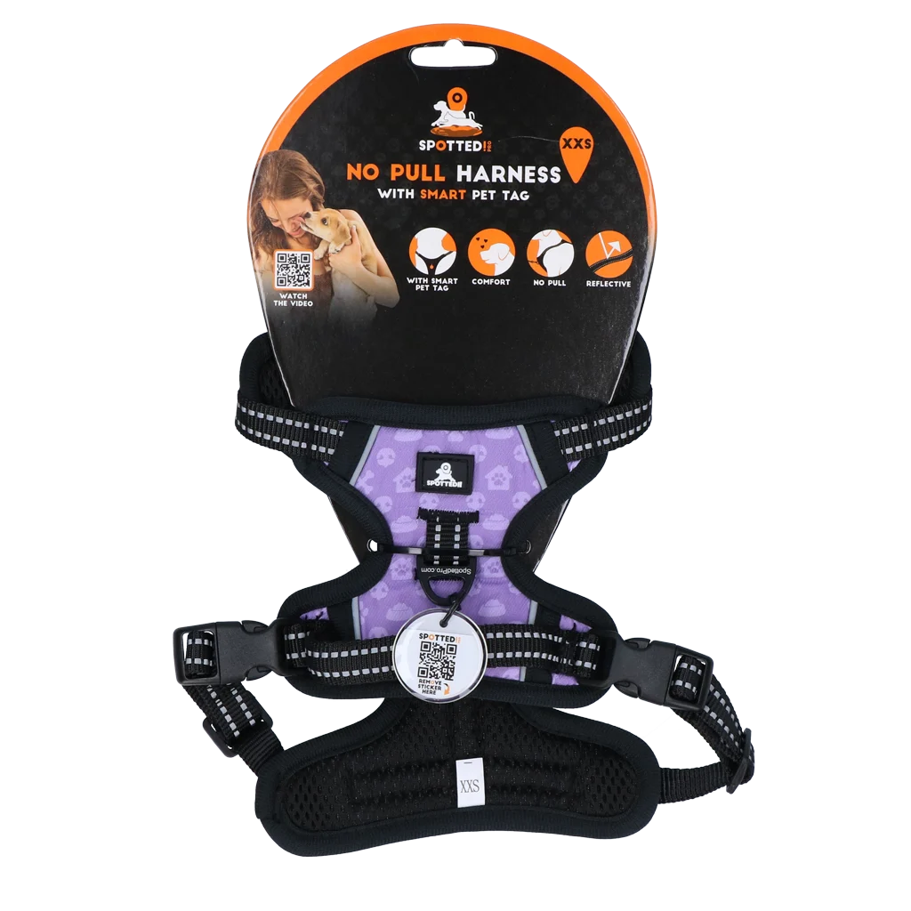 Harnais anti traction pour chien avec poignée, violet XXS – Spotted! Pro No Pull – Image 1