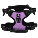 Harnais anti traction avec poignée, violet XS – Spotted! Pro No Pull – Image 3