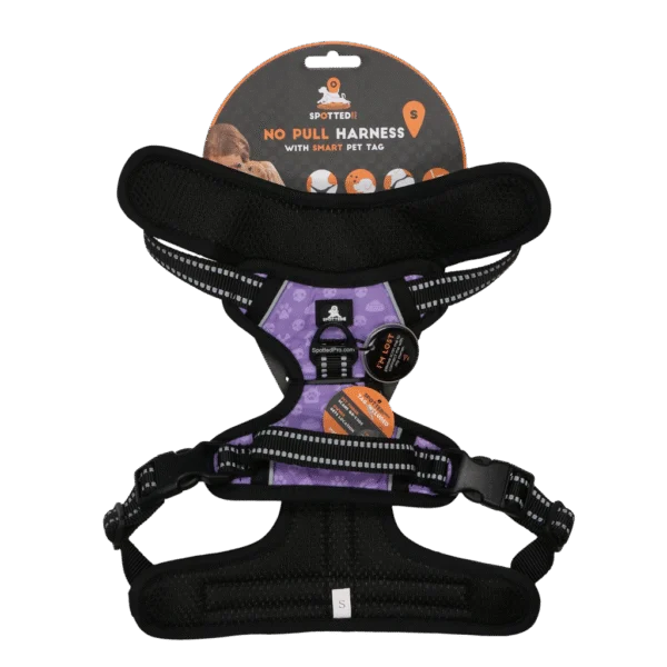 Harnais anti traction avec poignée pour chien, violet S – Spotted! Pro No Pull